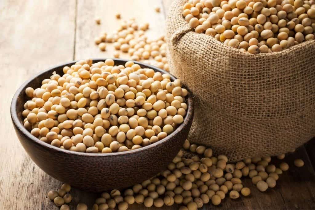 Soy beans, lentils and other beans
