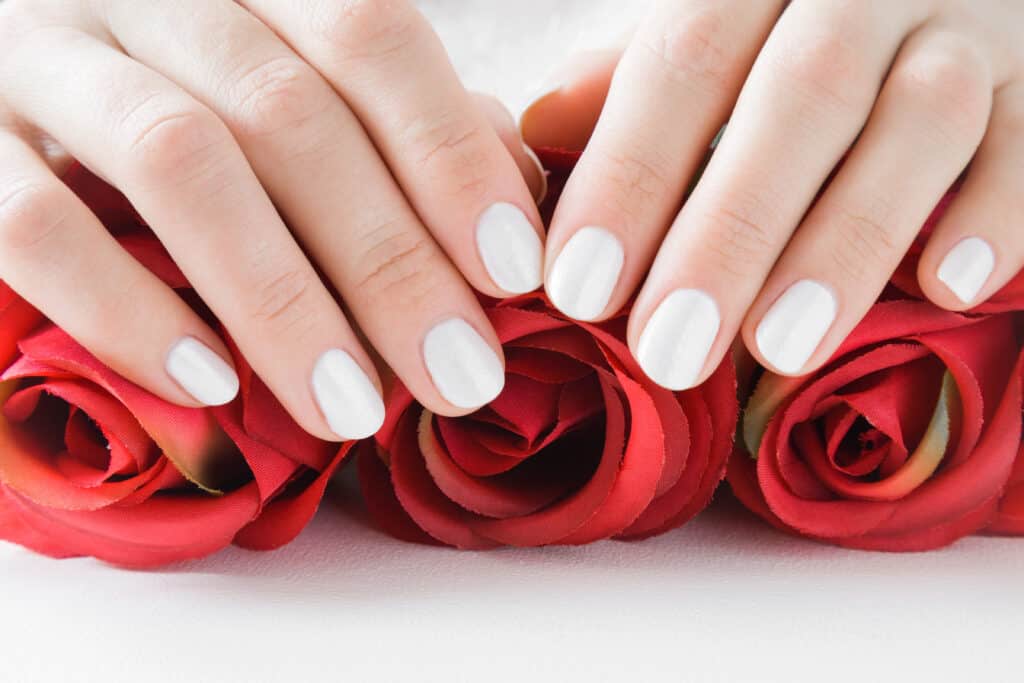 Beautiful groomed woman's hands with white nails with artificial red roses.
